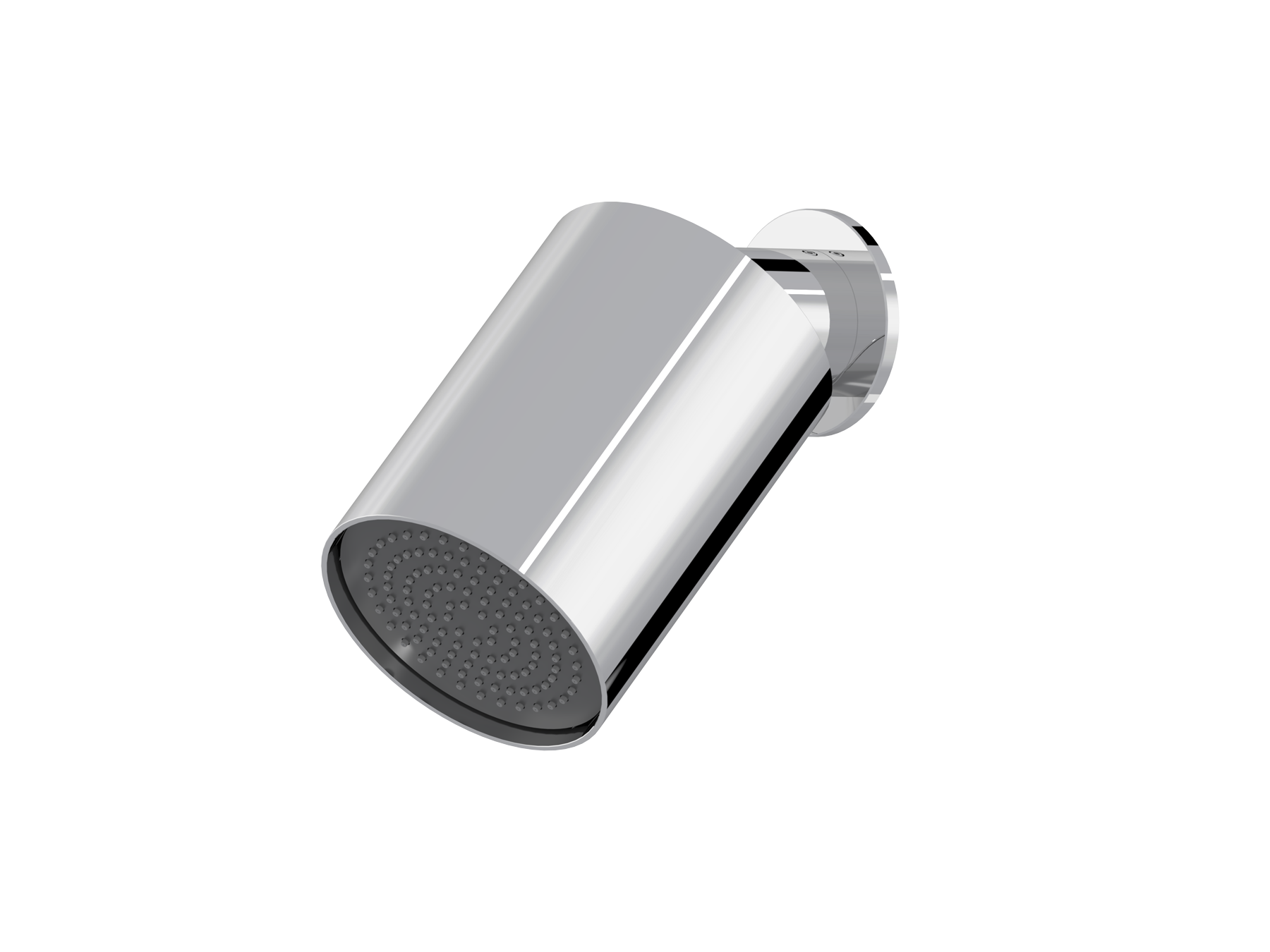 8020.11.27 Shower head on a swivel arm
